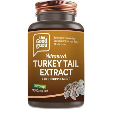 Turkey Tail Extract